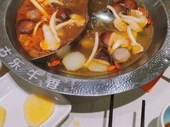 -古乐牛香鲜牛肉牛杂火锅(观前街店)