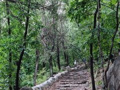 -阳台山自然风景区