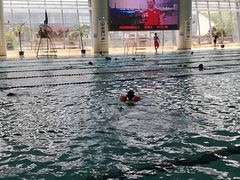 -小海豚国际游泳培训中心(浦东源深体育中心店)