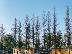 -前小桔亲子创意农场·草莓采摘·露营烧烤