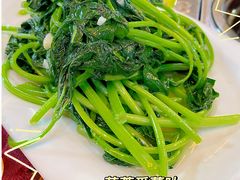 蒜蓉炒番薯叶-麻奢鸽农庄·梦里水乡