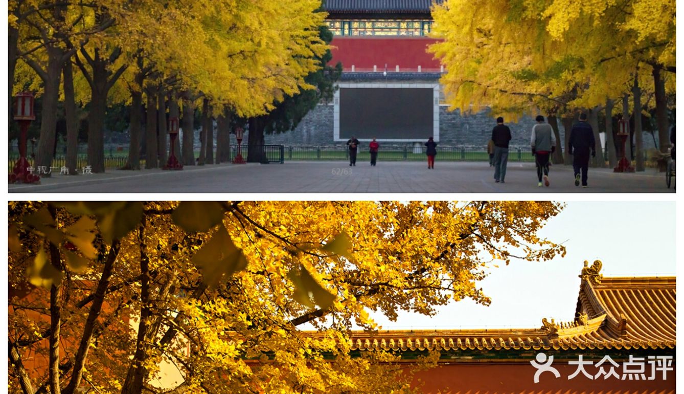 北京旅行.为首都北京旅游点赞.北京行李寄存