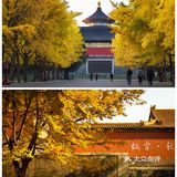 北京旅行.为首都北京旅游点赞.北京行李寄存