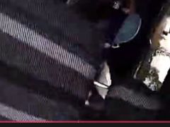 -老槐树煎包