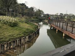 -王借岗森林公园