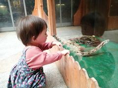 -上海大自然野生昆虫馆(东方明珠·爬宠昆虫探索中心)