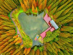 -黄海国家森林公园