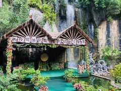 -西双版纳原始森林公园