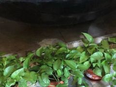 -清水湾温泉生活馆(南直路店)