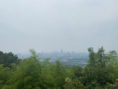 -紫金山天文台