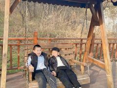 -云岭野山参风景区