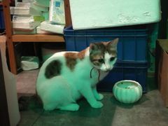 -蜉蝣酒吧(仓山万达店)