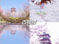 -古柏渡飞黄旅游区