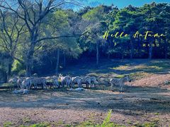 -沈阳森林动物园