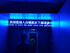 -白鹤梁水下博物馆