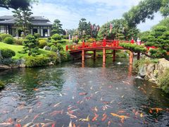 -芽庄珍珠岛游乐园