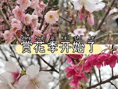 -南溪山景区