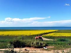 -青海湖国家重点风景名胜区