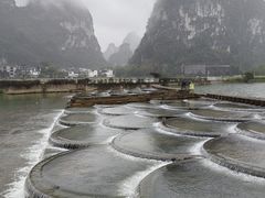 -明仕田园