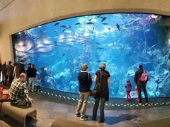 -西雅图水族馆