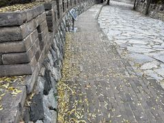 -雁门关景区