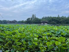 -印象西湖·最忆是杭州实景演出