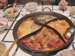 -朱光玉火锅馆(正弘城店)
