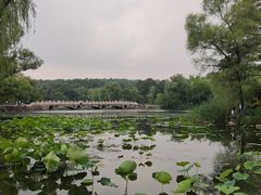 -承德避暑山庄景区