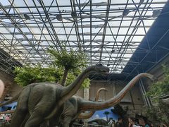 -国家自然博物馆