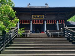-大唐贡茶院