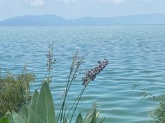 -捞渔河湿地公园