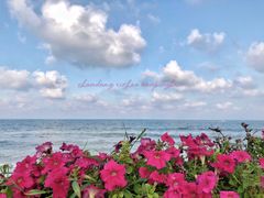 -金沙滩海水浴场(万平口景区4号门扬帆广场店)