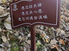 -终南山南五台景区