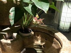 -梅间堂茶馆(绿地缤纷城店)