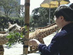 -深圳野生动物园