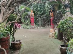 -呀路古热带植物园