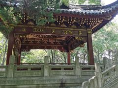 -汇龙潭