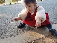 -东莞植物园