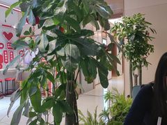 -国芳中心