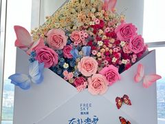 -Free Sky 云际观光层