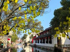 -东湖景区