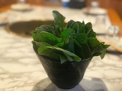 -杨家火锅(国美店)
