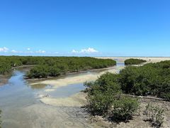 -北海金海湾红树林生态旅游区