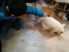 -小时光咖啡馆(北锣鼓巷店)