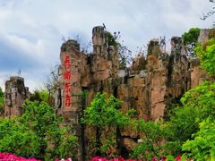 -秀丽东方