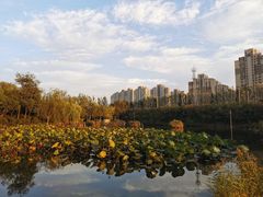 -前关湿地公园