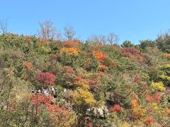 -九如山休闲旅游度假区