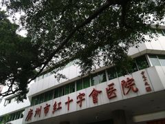 -广州市红十字会医院(总院)