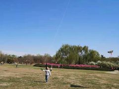 -朝阳公园游乐园