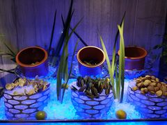 -长沙北辰洲际酒店-兰调全日餐厅